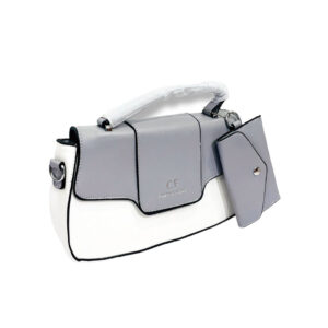 Bold Gray Bag